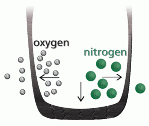 nitrogen